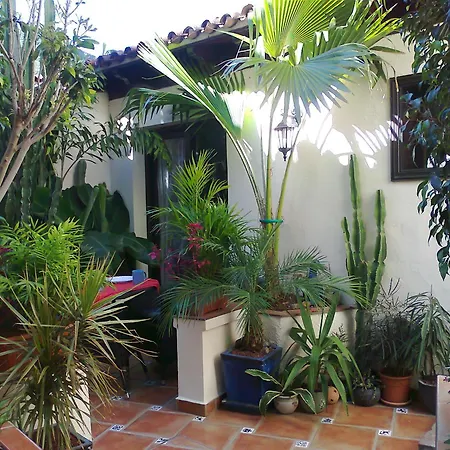 Monasterio De San Antonio - Rustikales Mit Kleiner Innenhofterrasse * Icod De Los Vinos